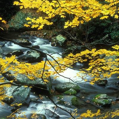 manbet下载地址截图